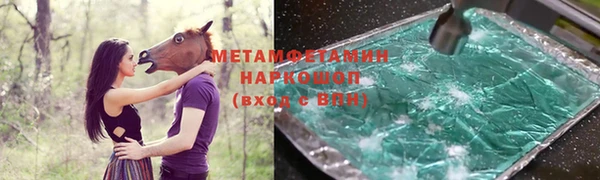 прущие грибы Абинск
