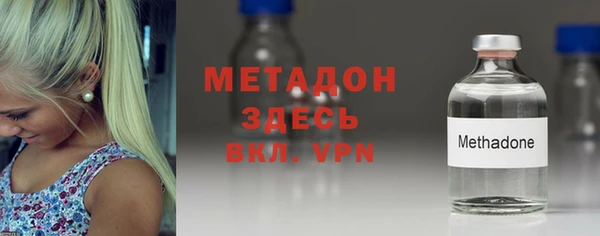 прущие грибы Абинск