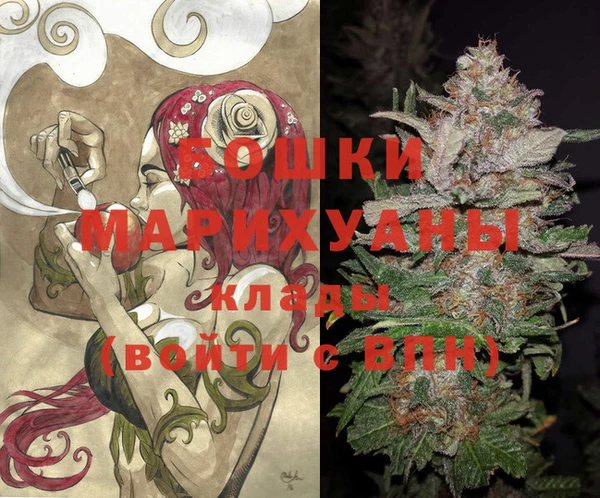 прущие грибы Абинск