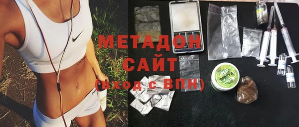 прущие грибы Абинск