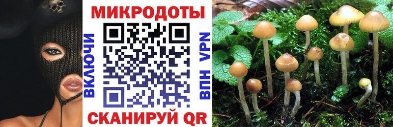 Псилоцибиновые грибы GOLDEN TEACHER  гидра ТОР  Знаменск  цена  