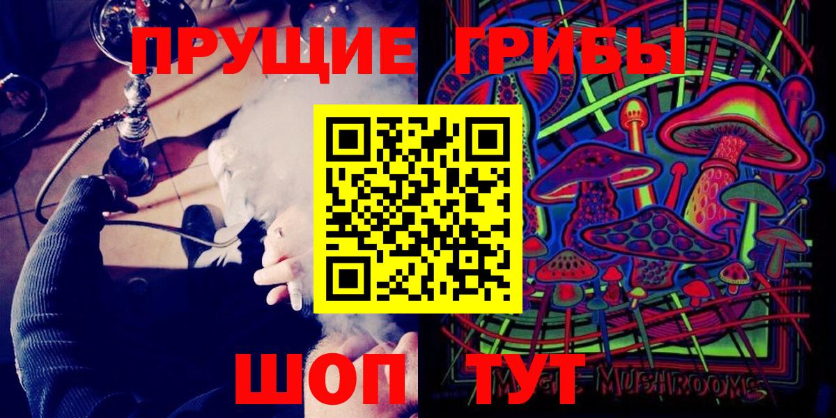 Знаменск  Галлюциногенные грибы прущие грибы  Вход с VPN  Псилоцибиновые грибы Cubensis 